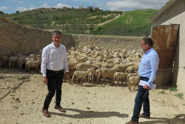 Un estudio del IMIDA mejora la alimentación del cordero segureño y favorece la ganadería sostenible - 1, Foto 1