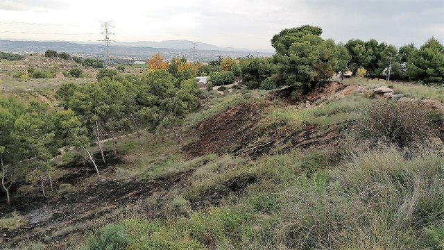 Dan por controlado el conato de incendio forestal declarado en San José de la Montaña - 3, Foto 3