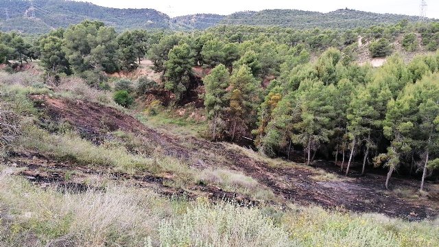 Dan por controlado el conato de incendio forestal declarado en San José de la Montaña - 4, Foto 4