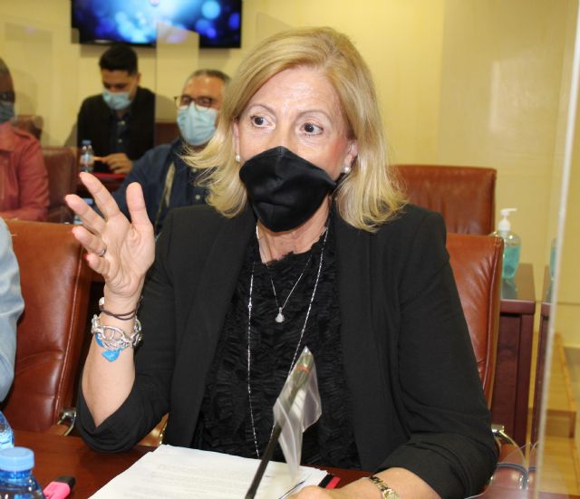 María Dolores García Albarracín: Vamos a seguir reivindicando que el CIAR sea una realidad y no una escenificación - 1, Foto 1