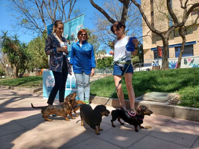 El Ayuntamiento de Murcia repartirá 5.000 botellas para evitar los orines de perros en la vía pública - 1, Foto 1