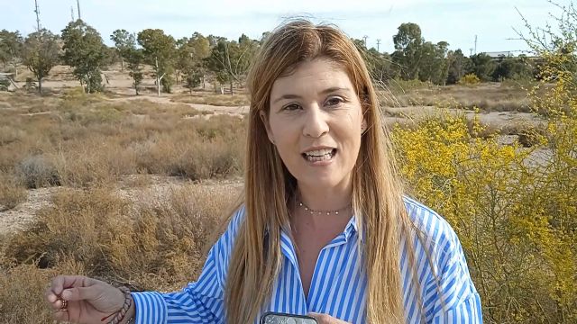 Rosa Medina: aparecer a 19 días de las elecciones anunciando un gueto de vivienda social para hacinar a 2.600 personas en Carraclaca es un insulto a la gente - 1, Foto 1