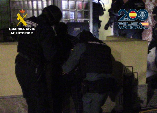 Desarticulada una importante organización criminal dedicada al tráfico de cocaína - 1, Foto 1