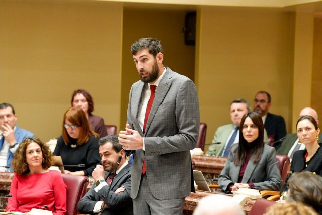 DANIEL SABIOTE_VOX, Foto 1