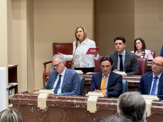 Carmina Fernández: Lo que hace López Miras con los presupuestos es retrasar su rendición definitiva a los caprichos ideológicos de Vox y a su chantaje político - 1, Foto 1
