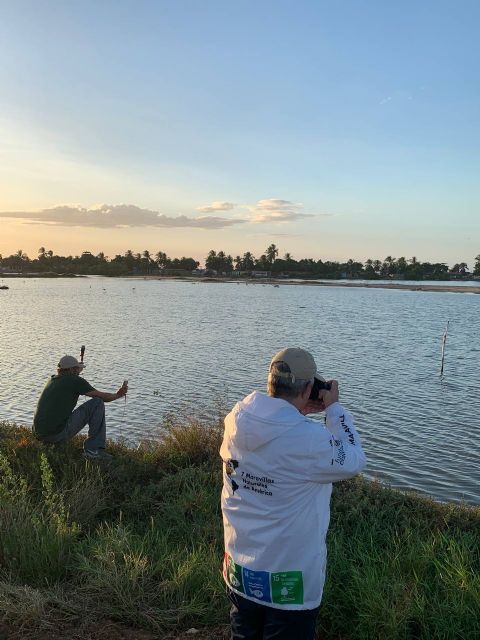 El Día Mundial de las Aves Migratorias se celebra este 10 de mayo - 2, Foto 2