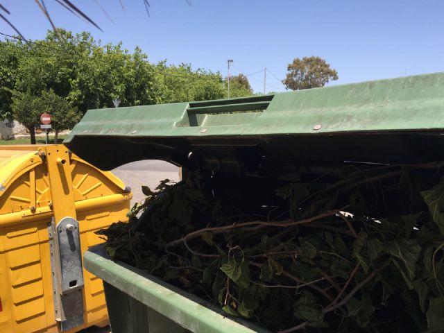 El PP denuncia que la empresa que gestiona 8 contratos de jardinería se deshace de las podas en contenedores municipales - 5, Foto 5