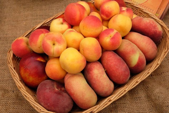 Fecoam impulsa una campaña nacional de promoción del consumo de las frutas de hueso - 1, Foto 1