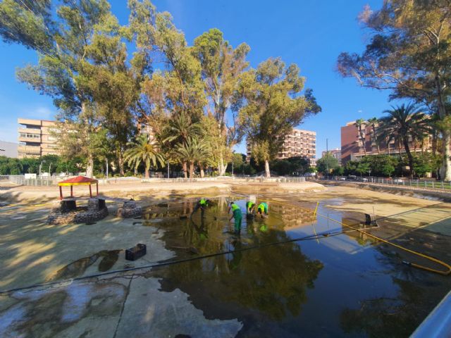 Finalizados los trabajos de vaciado, limpieza y desinfección del lago del jardín del Salitre - 2, Foto 2