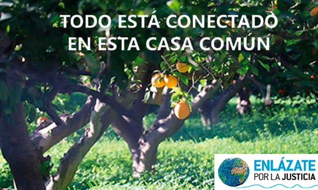 La Diócesis participa en la campaña «Si cuidas el planeta, combates la pobreza» - 1, Foto 1