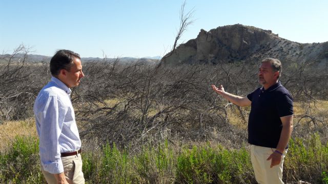 El Alcalde exige que cesen los ataques contra los agricultores lorquinos - 2, Foto 2