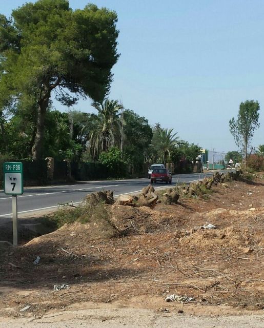 MC Cartagena solicitará actuaciones de mejora en el alcantarillado de La Palma - 2, Foto 2