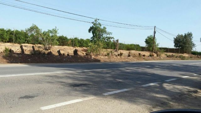 MC Cartagena solicitará actuaciones de mejora en el alcantarillado de La Palma - 3, Foto 3