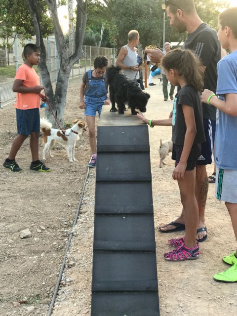 Primera Área Canina en Torre Pacheco - 2, Foto 2