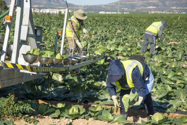 El 75% de los murcianos considera fundamental la actividad agraria - 1, Foto 1