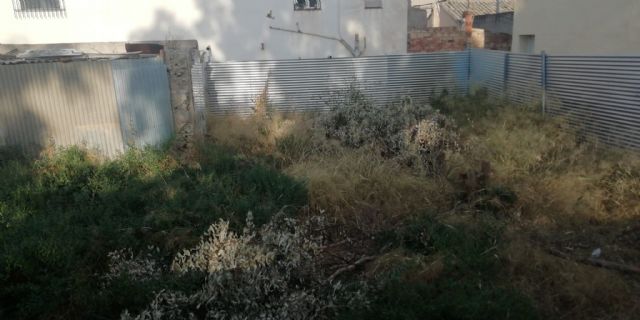IU-Verdes Lorca pide más atención municipal al barrio Virgen de las Huertas - 3, Foto 3