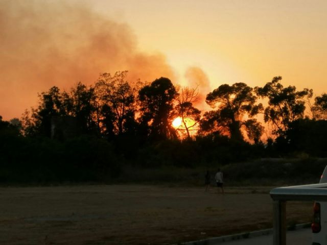 MC Cartagena llevará Villa Calamari al Pleno para exigir al Gobierno local que no sea cómplice del expolio perpetrado desde la CARM - 1, Foto 1