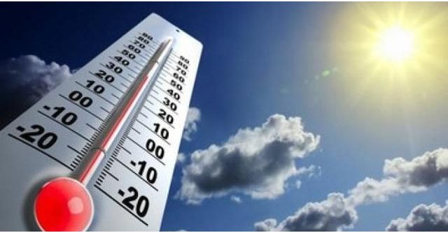 Activan el Plan de Emergencia por la previsión de una ola extrema de calor el lunes - 1, Foto 1