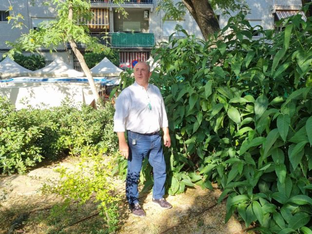 Los vecinos de Beniaján sufren la inacción de PSOE frente a la proliferación de mosquitos - 1, Foto 1