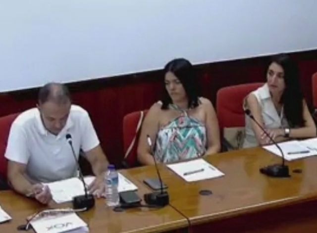 VOX Fuente Álamo presenta una enmienda en el pleno de organización del PP - PSOE - 1, Foto 1