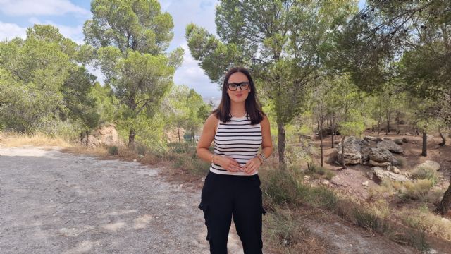 El PSOE denuncia que aún no está activo el plan de vigilancia contra incendios INFOMUR en Lorca - 1, Foto 1