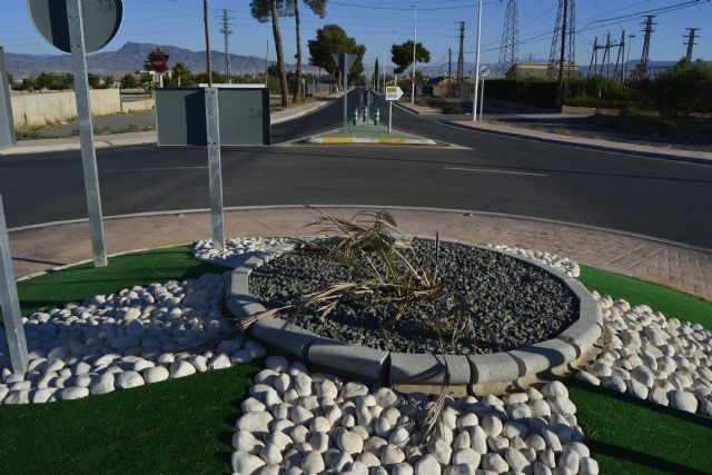 IU denuncia que la pinada que flanquea la carretera de Águilas a la altura de Purias se está secando - 2, Foto 2
