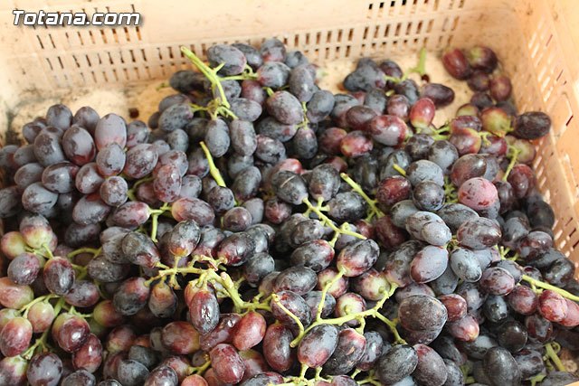 Las exportaciones de uva de la Región crecen un 32 por ciento en los últimos cinco años, Foto 1