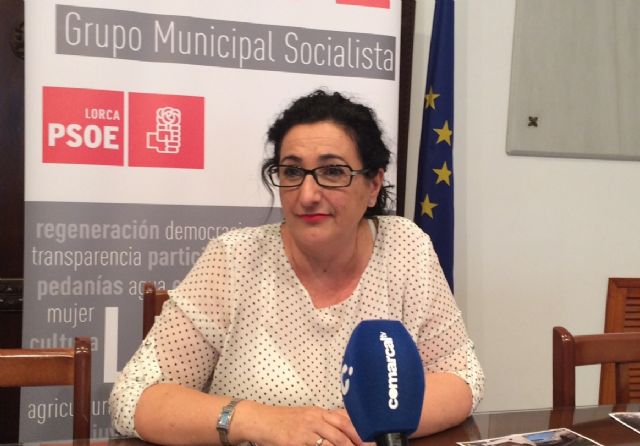 El PSOE insatisfecho por la respuesta del PP sobre el paradero de los 636.000€ donados por Navarra a Lorca - 1, Foto 1