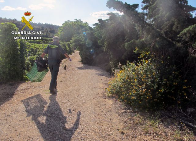 La Guardia Civil esclarece el uso ilícito de veneno en un coto de caza de Moratalla - 2, Foto 2