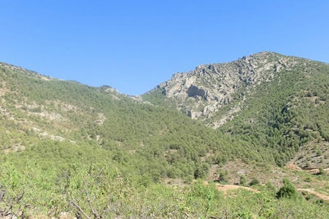 El PSOE reclama más inversión en saneamiento, limpieza y desbroce de montes como medidas urgentes de prevención para evitar incendios - 1, Foto 1