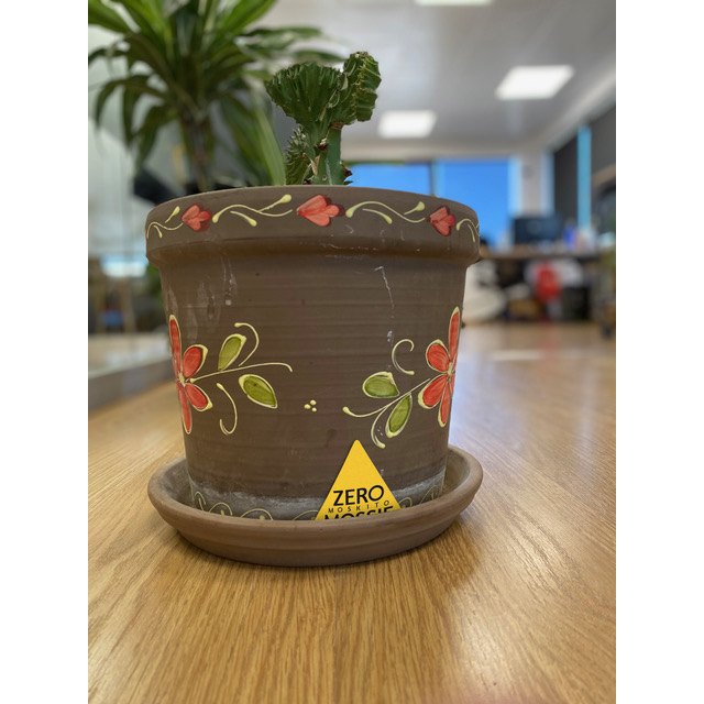 La lucha contra el mosquito tigre empieza en casa - 2, Foto 2