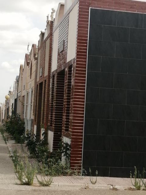 ¿Jungla o cementerio? - 1, Foto 1