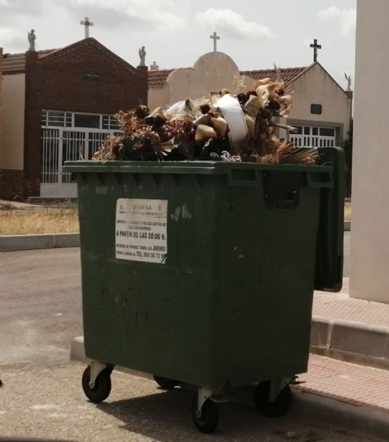 ¿Jungla o cementerio? - 2, Foto 2