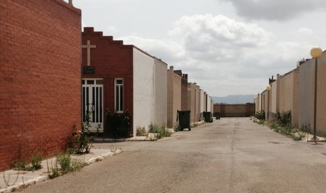 ¿Jungla o cementerio? - 3, Foto 3