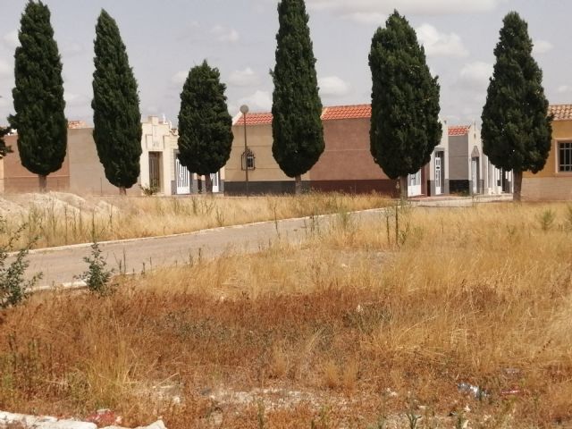 ¿Jungla o cementerio? - 5, Foto 5