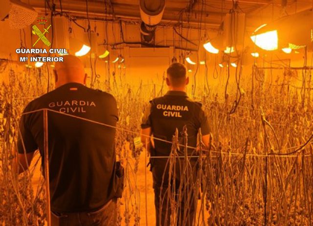 La Guardia Civil desmantela dos invernaderos clandestinos con cerca de un millar de plantas de marihuana en Moratalla y Cehegín - 3, Foto 3