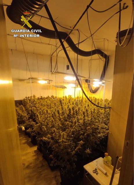 La Guardia Civil desmantela dos invernaderos clandestinos con cerca de un millar de plantas de marihuana en Moratalla y Cehegín - 4, Foto 4