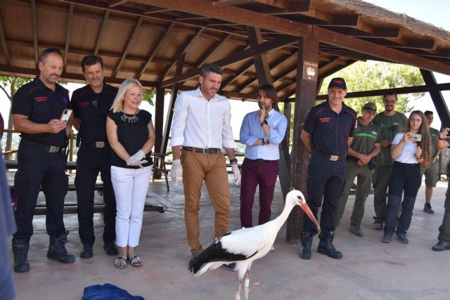 Terra Natura Murcia colabora en la liberación de una cigüeña blanca de 3 meses - 1, Foto 1