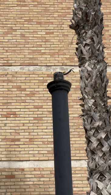 Graña (MC) reprende a la concejala de Festejos por el desinterés mostrado con los vecinos de La Puyola ante el inicio de sus fiestas populares - 5, Foto 5