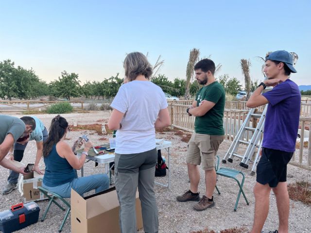 La Comunidad fomenta el voluntariado ambiental para conservar el cernícalo primilla y mejorar la biodiversidad en los Saladares del Guadalentín - 1, Foto 1