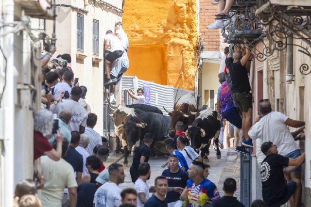 Un primer encierro rápido y emocionante en la primera cita taurina de las Fiestas Patronales de Blanca 2025 - 2, Foto 2