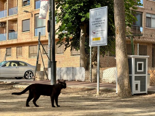 El Ayuntamiento de Murcia impulsa la gestión ética de las colonias felinas con cerca de 2.900 gatos esterilizados - 3, Foto 3