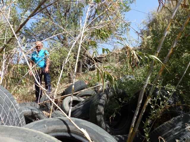 IU-V insta al Ayuntamiento y a la CHS a la limpieza de las ramblas y cauces del municipio - 2, Foto 2