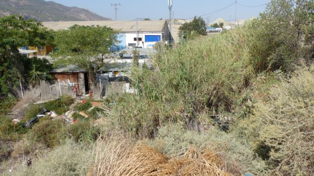 IU-V insta al Ayuntamiento y a la CHS a la limpieza de las ramblas y cauces del municipio - 3, Foto 3