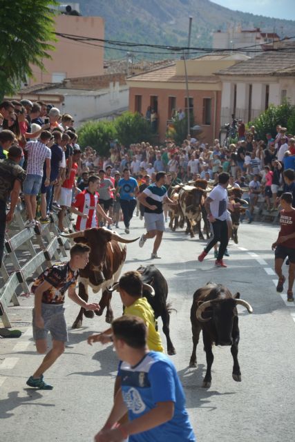 Gran final para las fiestas de Calasparra 2018 - 3, Foto 3