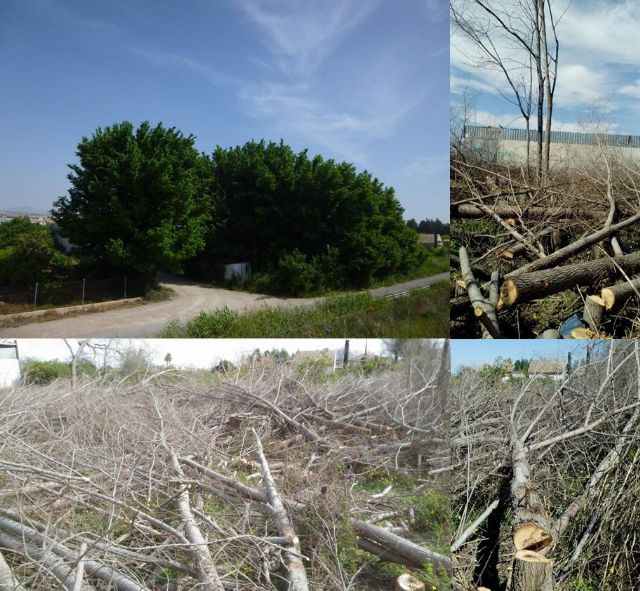 Huermur presenta una batería de preguntas parlamentarias a la Asamblea Regional sobre patrimonio y medioambiente - 3, Foto 3