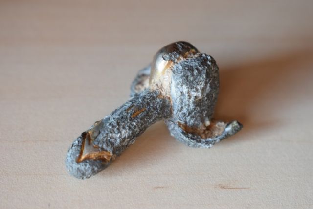 Hallado en la Bahía de Mazarrón un amuleto romano para ahuyentar el mal de ojo en forma de falo alado, Foto 2