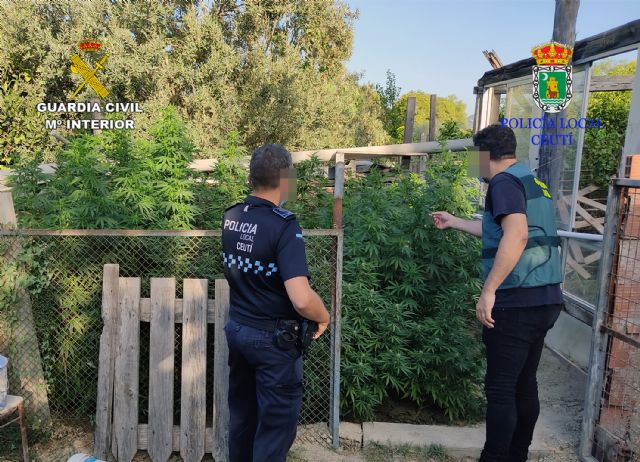 La Guardia Civil y la Policía Local de Ceutí desmantelan una plantación de marihuana - 1, Foto 1