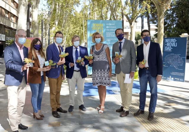 Murcia celebra el ´Día sin coches´ con transporte público urbano gratuito - 2, Foto 2