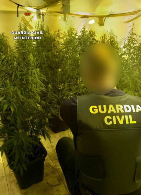 La Guardia Civil desmantela un punto de producción y venta de drogas en Mazarrón - 4, Foto 4